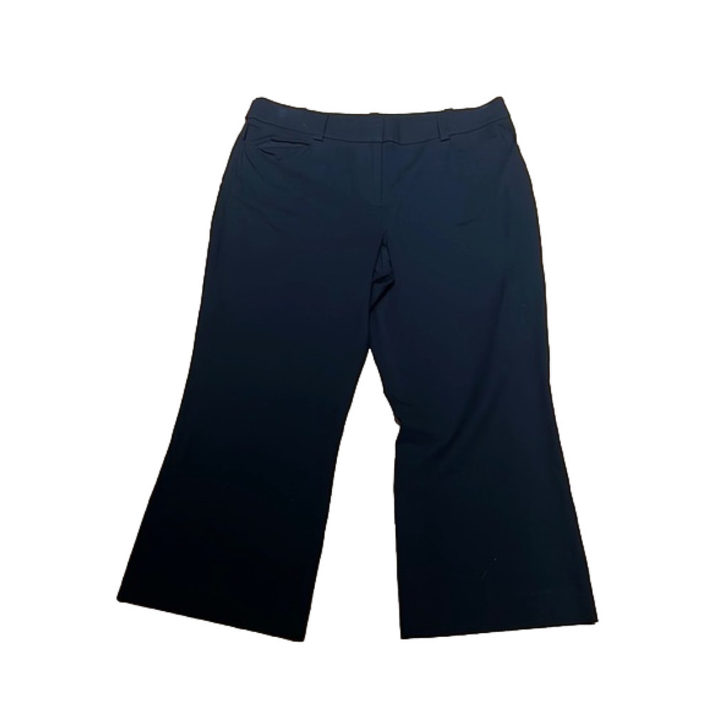 ANN Taylor dressy capris